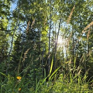 Meet your Posher, Lola